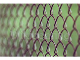 Chain link fence Iran