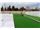 Artificial Grass