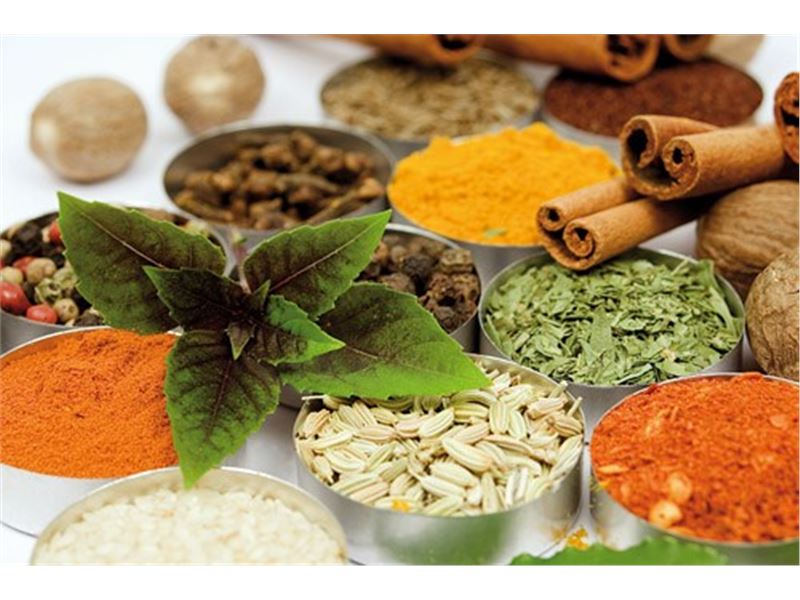 Hadi Industry & Business Co.