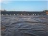 HDPE Geomembrane