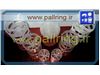 packing pall ring