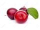 Export of red plum puree to Azerbaijan