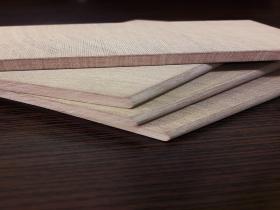 1000 Vacuum pump fiber vane