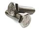 A270 stainless steel hex bolt
