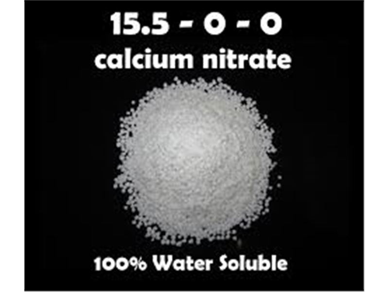 Hegmatan dynamic chemistry (sodium nitrate, calcium nitrate producer)