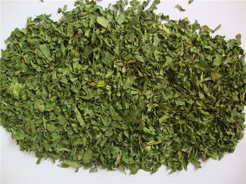 Berelian Trading Company