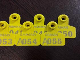 Sheep ear tag medium size