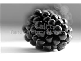 Blackberry Juice Concentrate