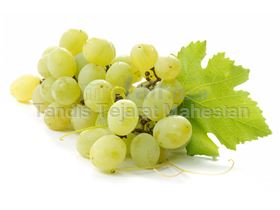 TTMFOOD White Grape Juice Concentrate